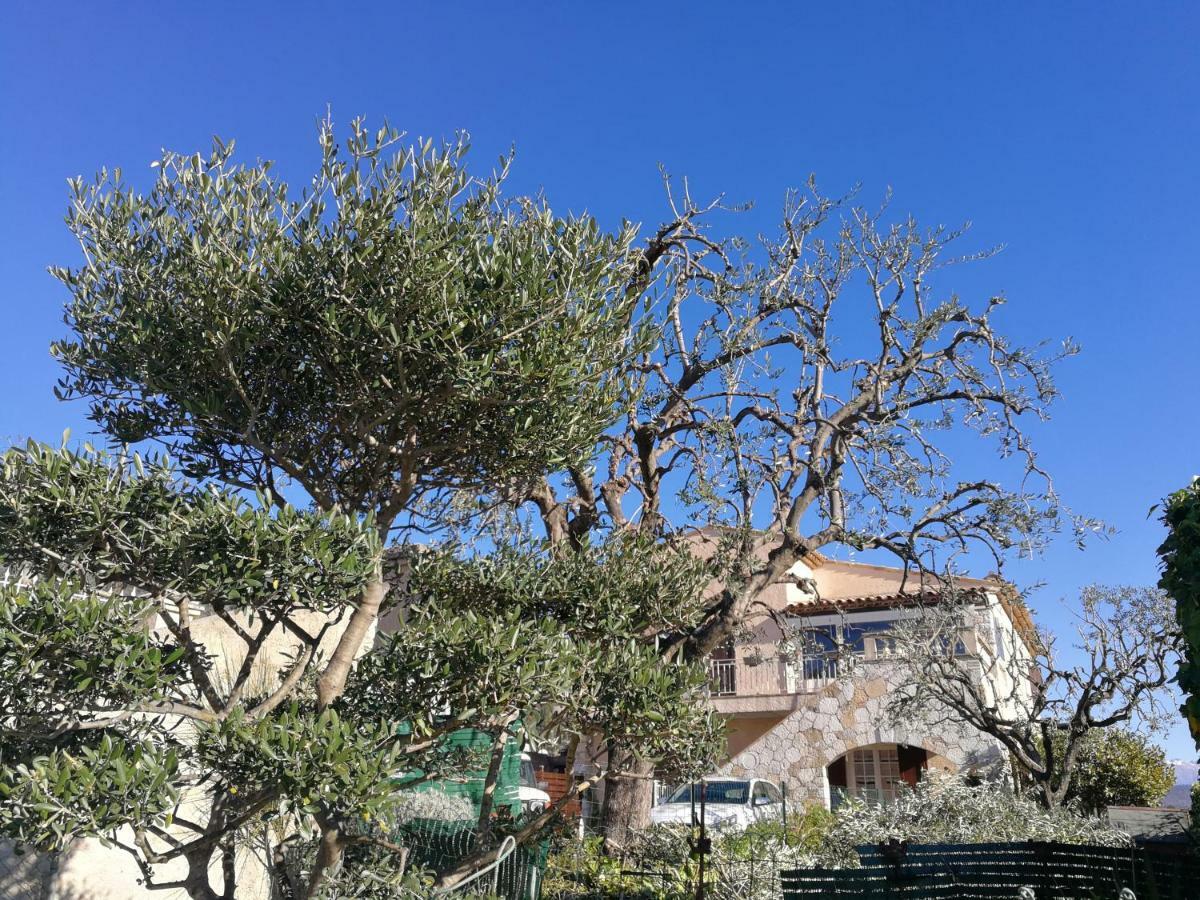 Les Charmettes De La Cote - Entre Mer Et Montagne Carros Exterior foto